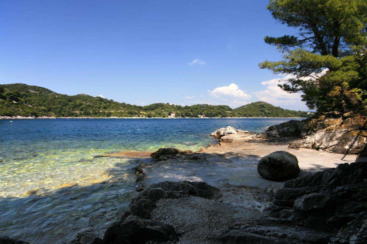 Apartments By The Sea Sobra, Mljet - 4908 Babino Polje 외부 사진