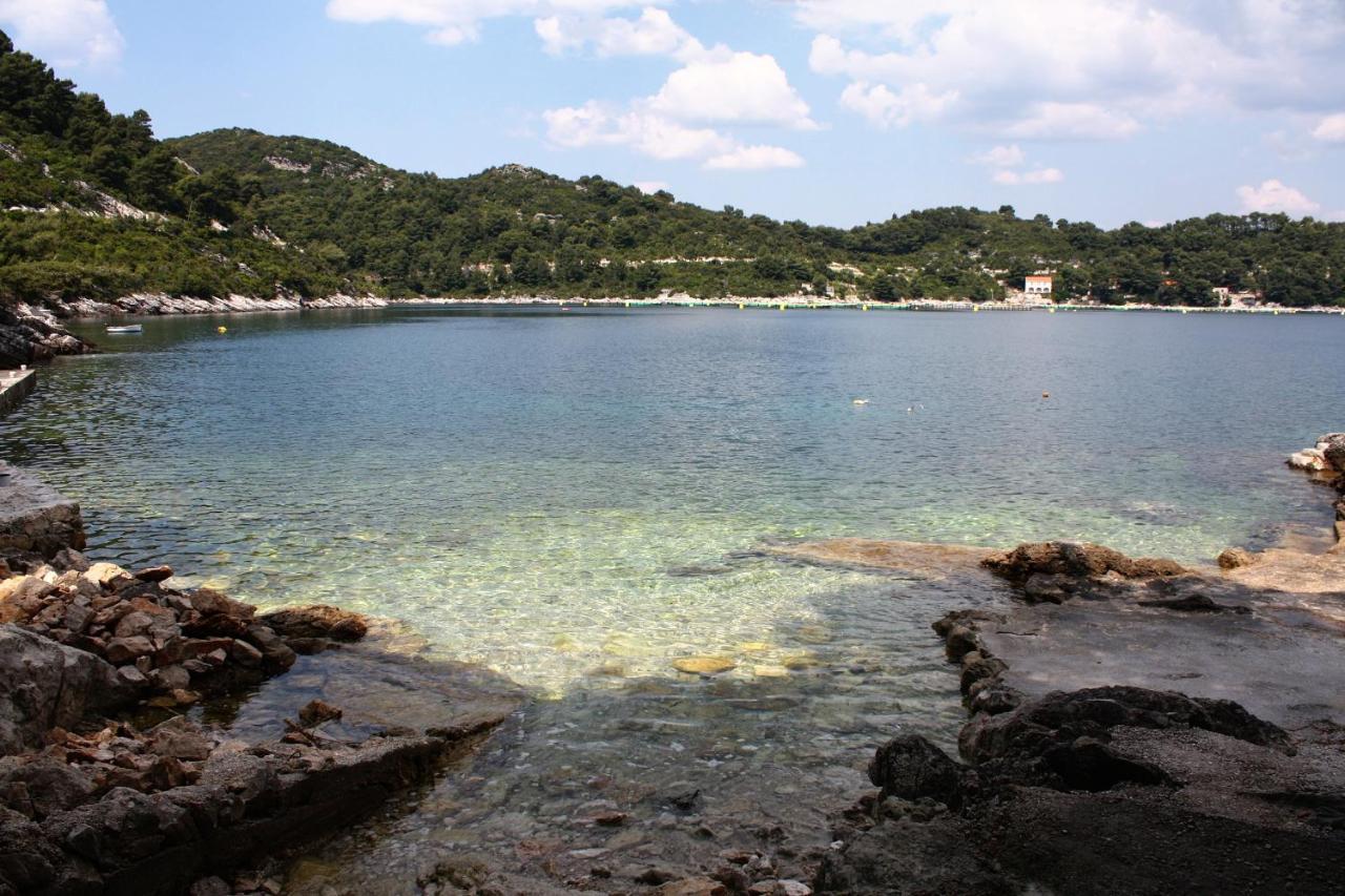 Apartments By The Sea Sobra, Mljet - 4908 Babino Polje 외부 사진